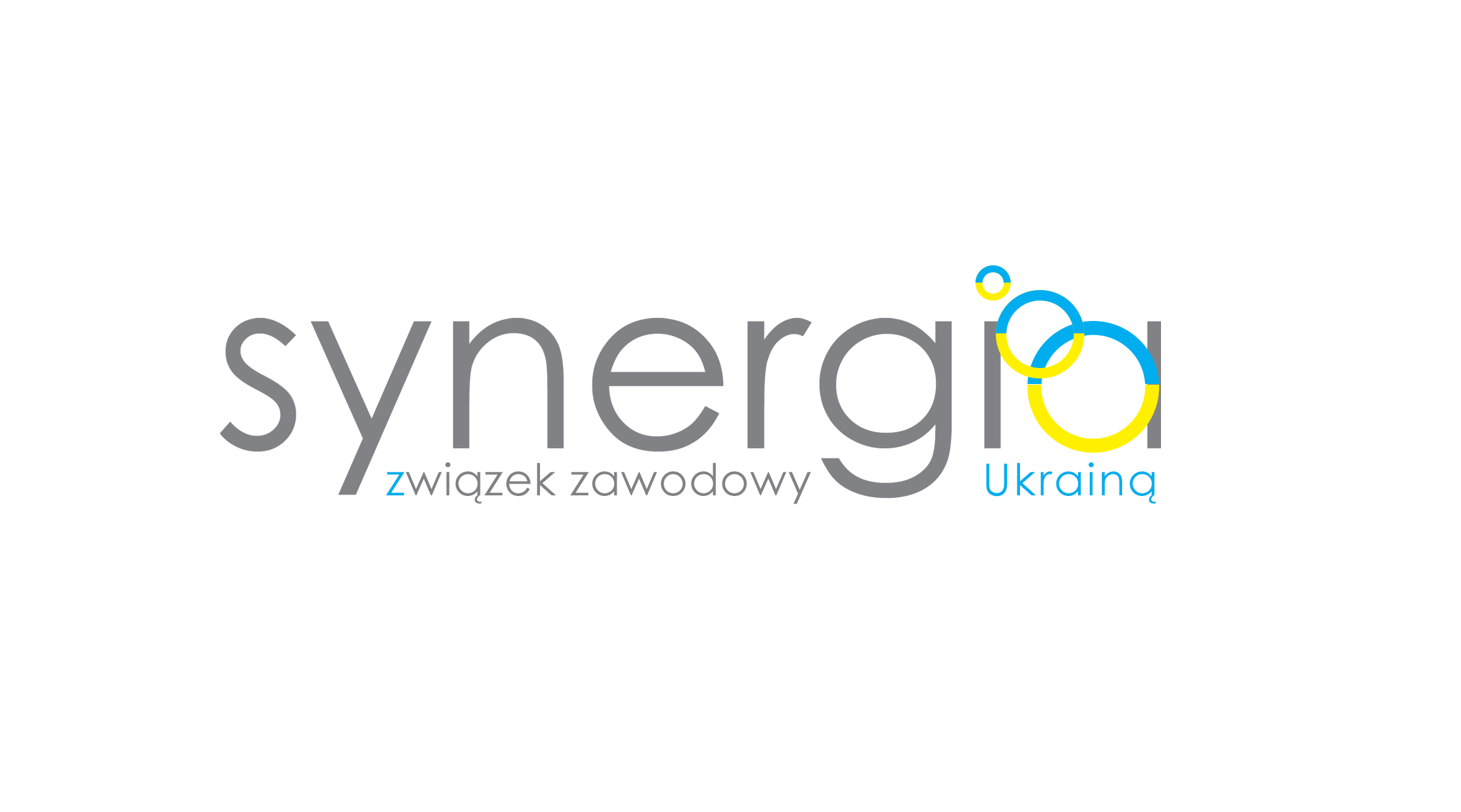 syner flaga 2